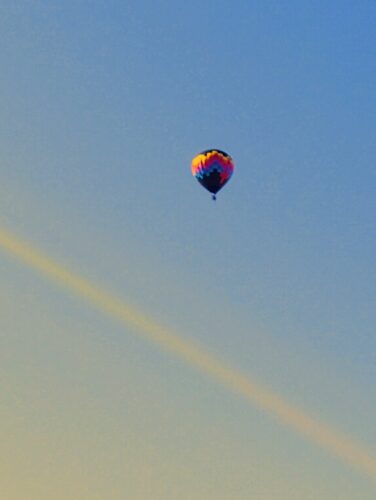 Flying high above the Cape